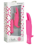 Closet Collection Isabella Rechargeable Bunny Set - Pink