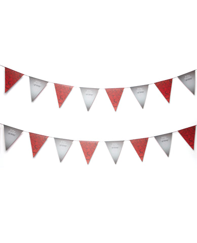 PROMO Fifty Shades of Grey Sweet Anticipation Bunting w/Fabric Cord