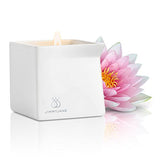 Jimmyjane Afterglow Natural Massage Candle - Pink Lotus