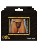 Male Power Posing Strap Thong Animal Print O/S